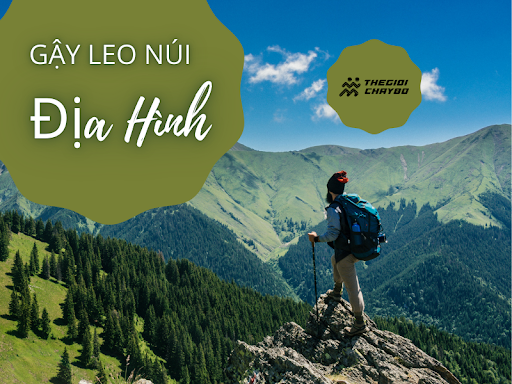 Gậy Leo Núi Địa Hình Khó: Top Sản Phẩm Hỗ Trợ Cực Tốt