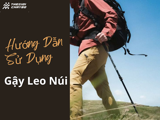 Hướng Dẫn Sử Dụng Gậy Leo Núi Đúng Cách Cho Chuyến Đi An Toàn