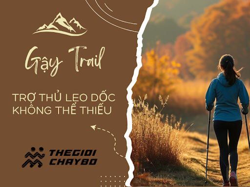 Gậy chạy trail – trợ thủ leo dốc không thể thiếu