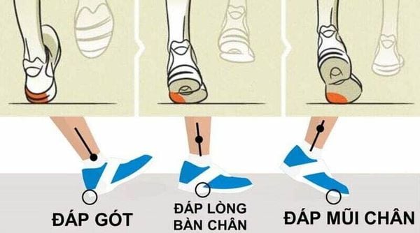 So sánh ba kiểu tiếp đất