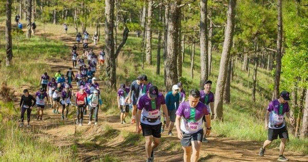 Runner chạy trail 55km