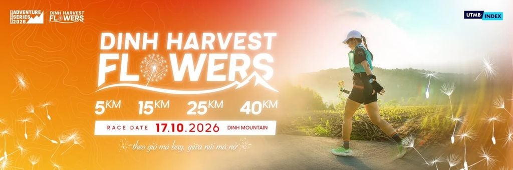 Dinh Harvest Flowers 2027