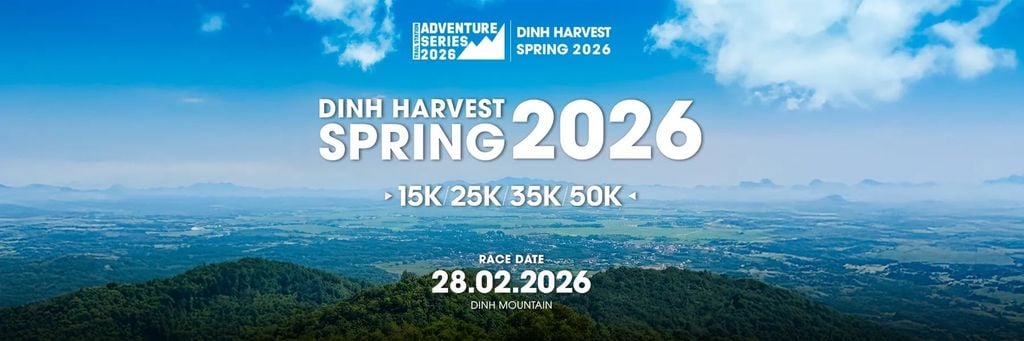 Dinh Harverst Spring 2027