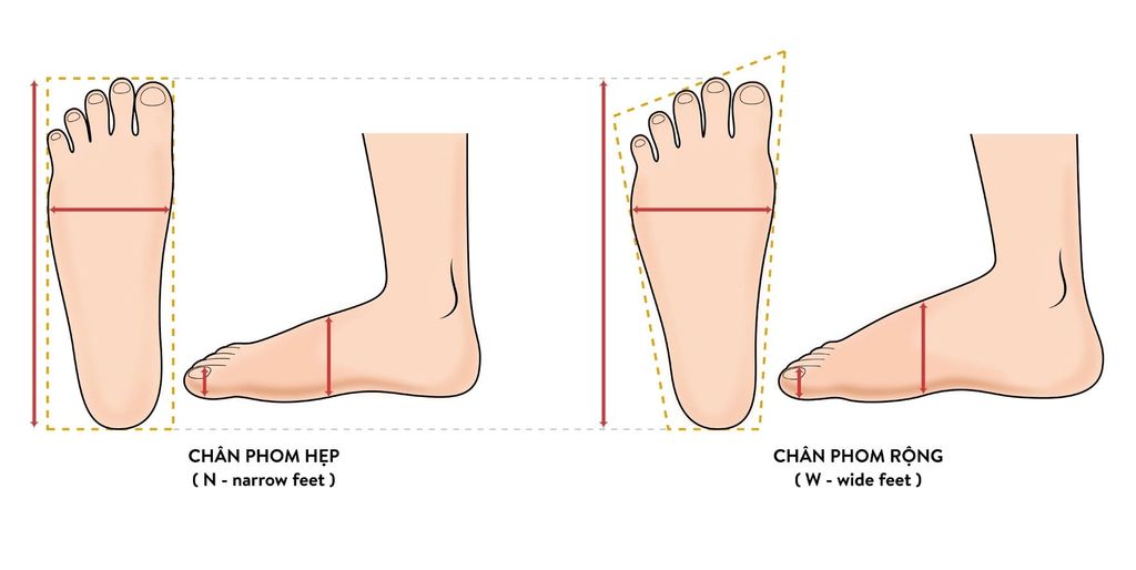 Đo chiều rộng bàn chân