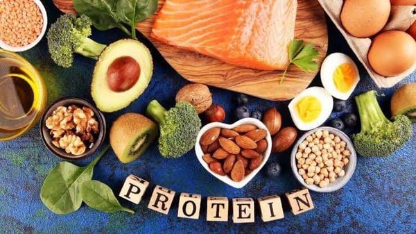 Thiếu protein là gì và khi nào được xem là ăn chưa đủ đạm?