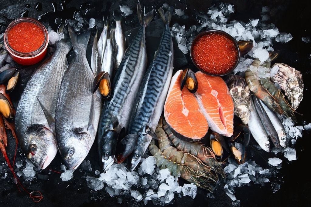protein từ cá