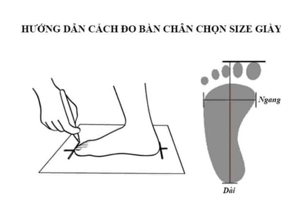 Cách chọn size giày