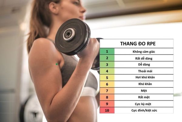 Runner tự đánh giá trên thang rpe