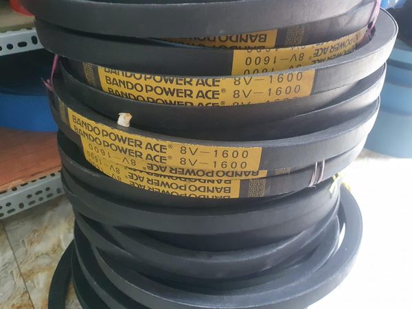Dây curoa 8V 1600