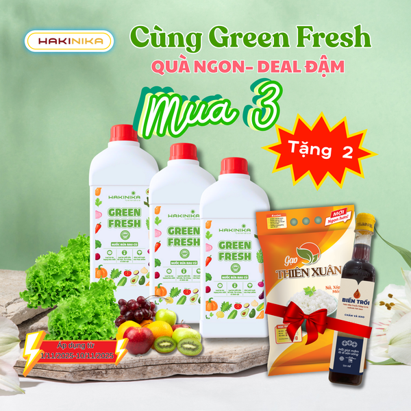 🔥 MUA 3 TẶNG 2, QUÀ NGON – DEAL ĐẬM