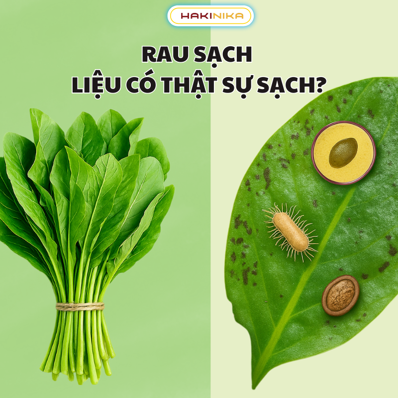 🌿 RAU SẠCH – LIỆU CÓ THẬT SỰ SẠCH?