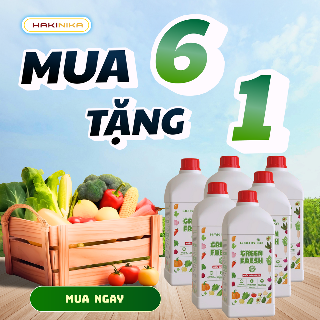 🌿 1 Chai Green Fresh 100 Lần Dùng – Mua 6 Tặng 1, Chỉ 15/11/2025!