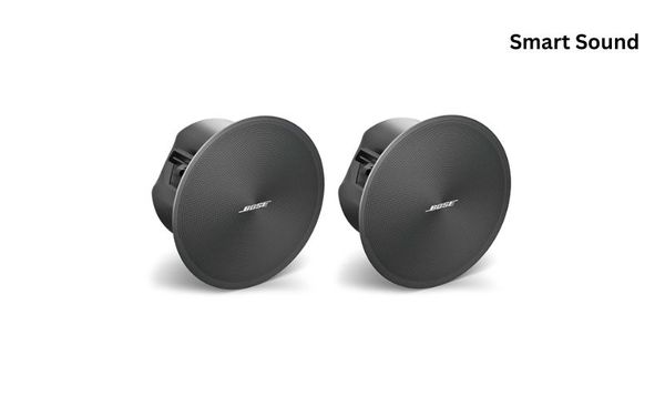 Loa âm trần nhỏ gọn Bose DesignMax DM3C