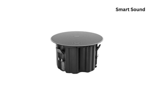 Loa Bose DesignMax DM3C chính hãng