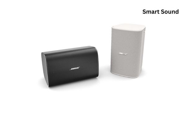 Loa Bose DesignMax DM8S