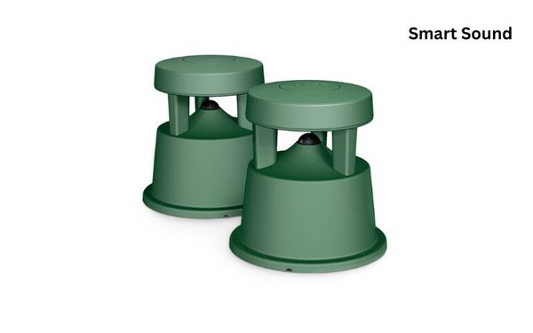 Loa Bose FreeSpace 360P II chính hãng