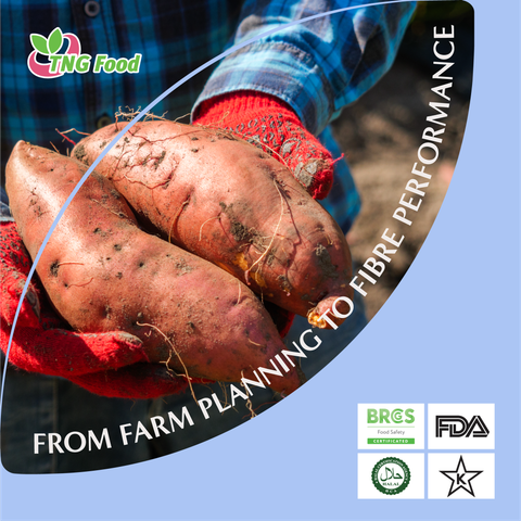 Why Sweet Potato and Edamame Are the New Better-For-You Ingredients Your Consumers Will Appreciate