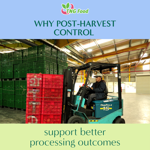 Why Post-Harvest Control Drives Better Processing Outcomes