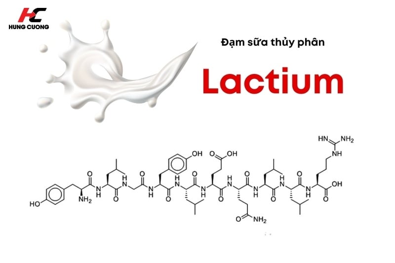 Lactium Là Gì? Công Dụng Đối Với Giấc Ngủ Và Tinh Thần Như Thế Nào?