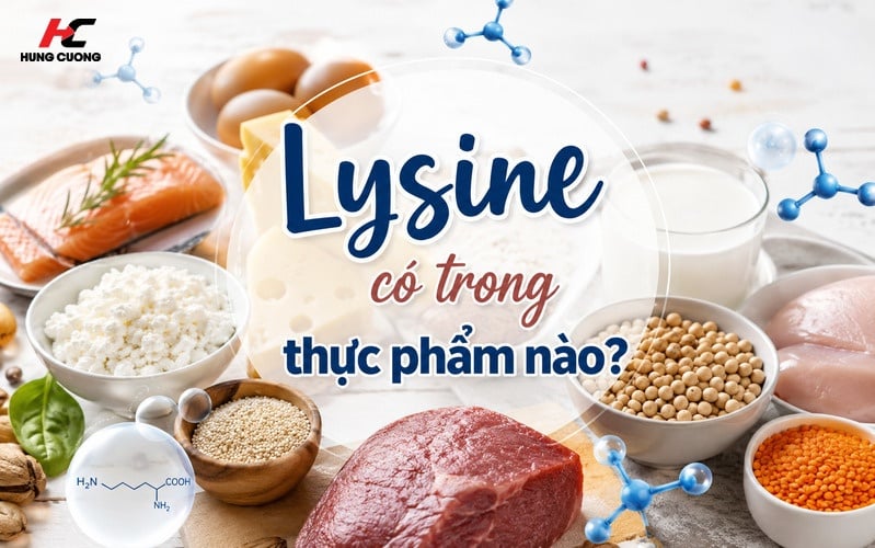 Lysine Có Trong Thực Phẩm Nào? Top Nguồn Dinh Dưỡng Cho Bé