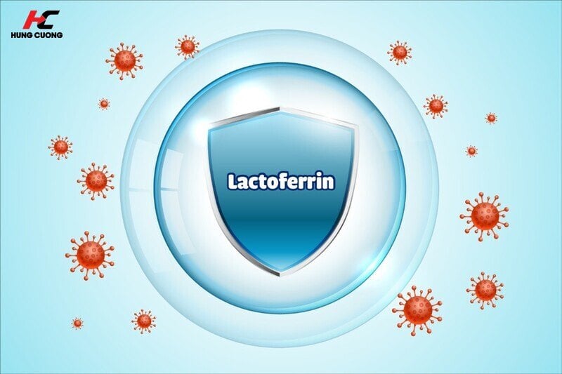 Lactoferrin Có Tác Dụng Gì? Cơ Chế Bảo Vệ Đề Kháng Khỏe Cho Bé