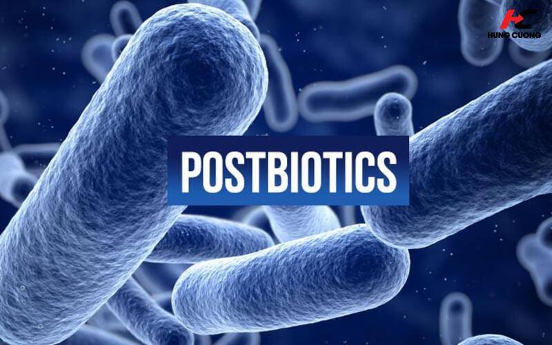 Postbiotic Là Gì? Bí Quyết Giúp Bé Tiêu Hóa Khỏe, Tăng Cân Vượt Trội