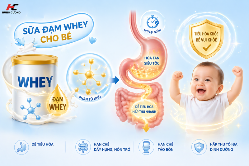 Sữa Đạm Whey Cho Bé Là Gì? Các Loại Sữa Đạm Whey Giúp Tiêu Hóa Khỏe, Tăng Cân