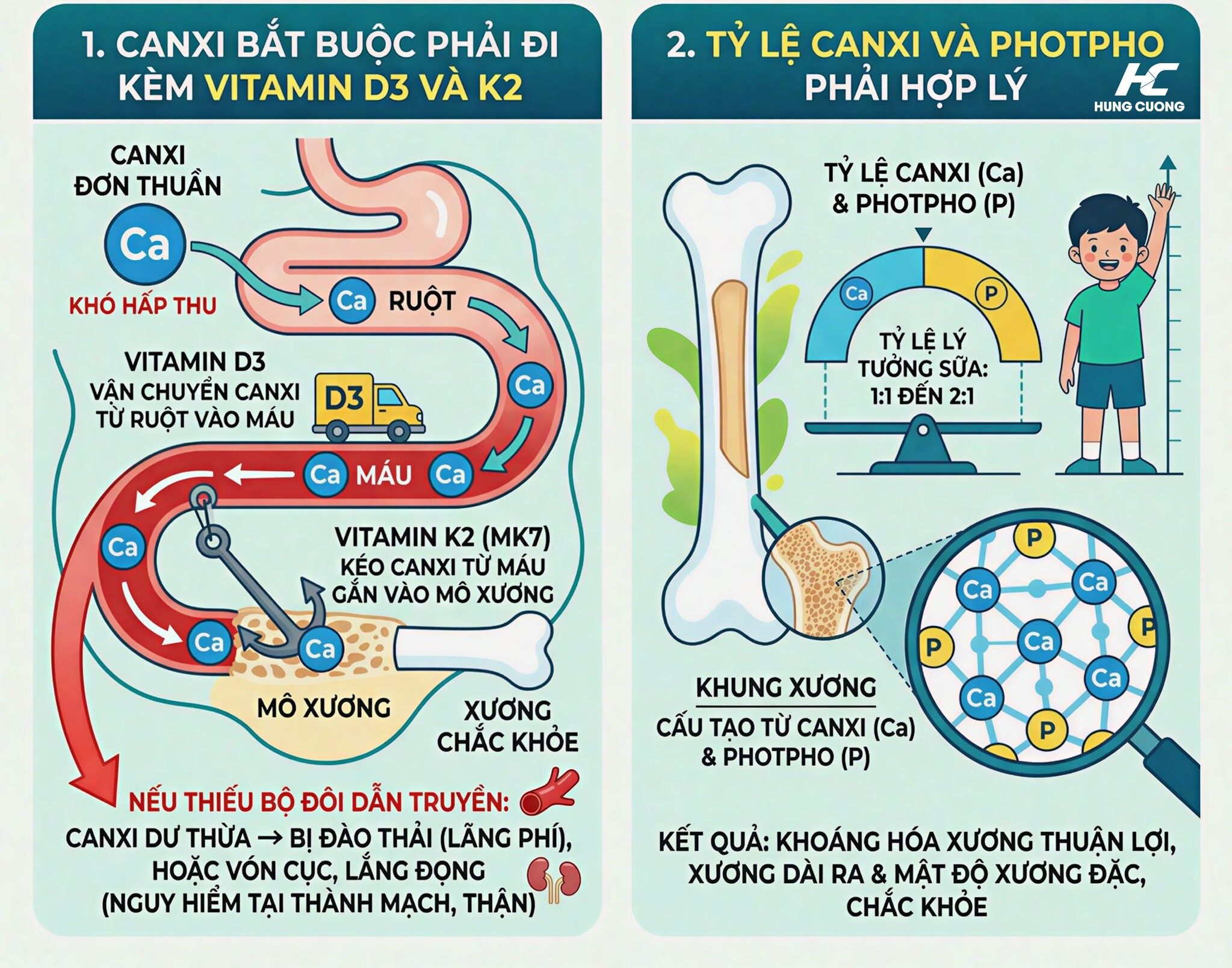 Sữa Nào Chứa Nhiều Canxi? Top 6 Sữa Chứa Nhiều Canxi Mẹ Nên Tin Dùng