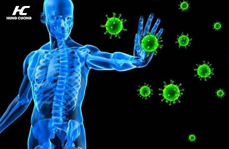 Hỗ trợ bảo vệ tế bào trước sự tấn công của virus