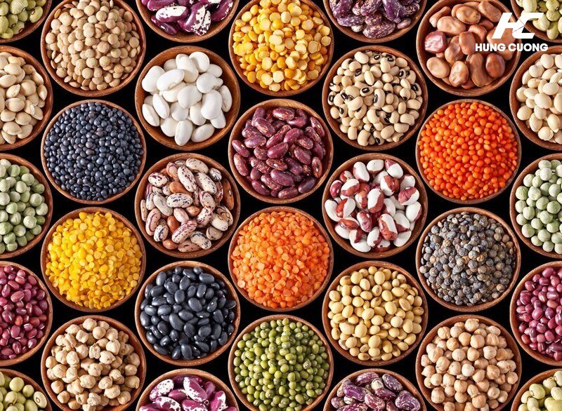 Các loại hạt và đậu giàu protein thực vật