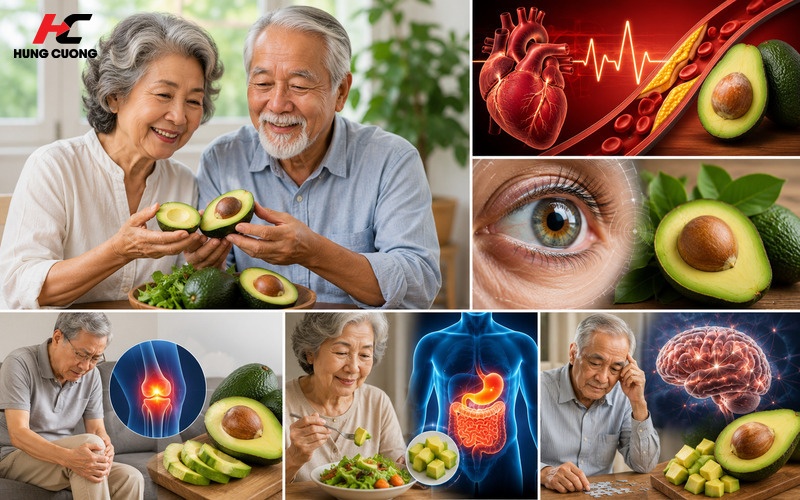 Top 5 lợi ích sức khỏe của bơ với người già