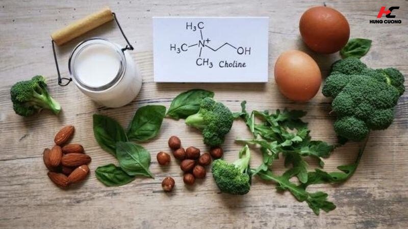 Cơ thể cần nạp Choline mỗi ngày