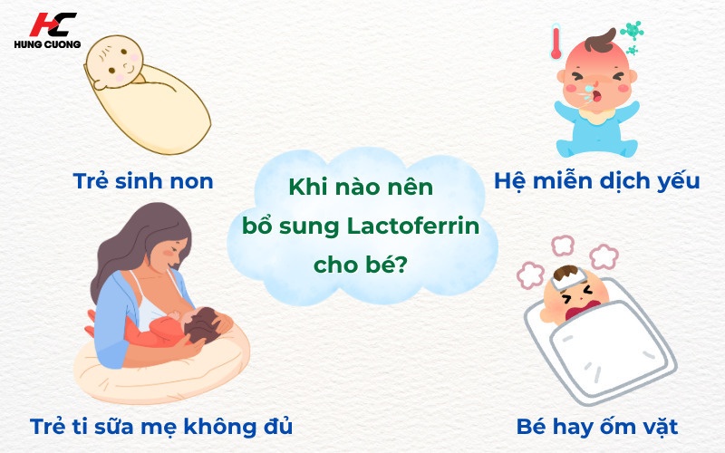 Hỗ trợ nuôi dưỡng hệ lợi khuẩn đường ruột
