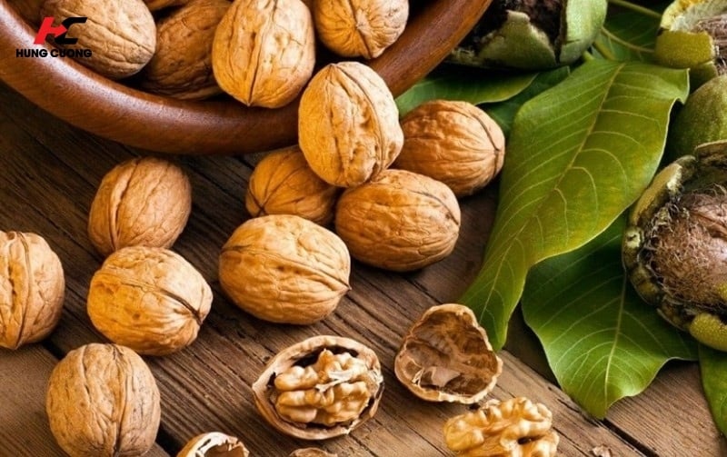 Người suy nhược chỉ nên ăn khoảng 30g óc chó mỗi ngày để tránh dư thừa năng lượng