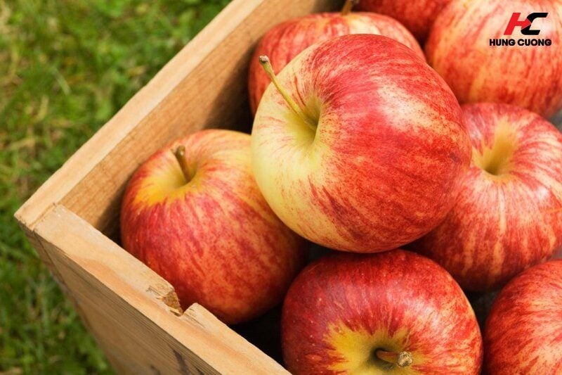 Táo chứa chất xơ Pectin cùng nhiều Vitamin và khoáng chất tốt cho cơ thể