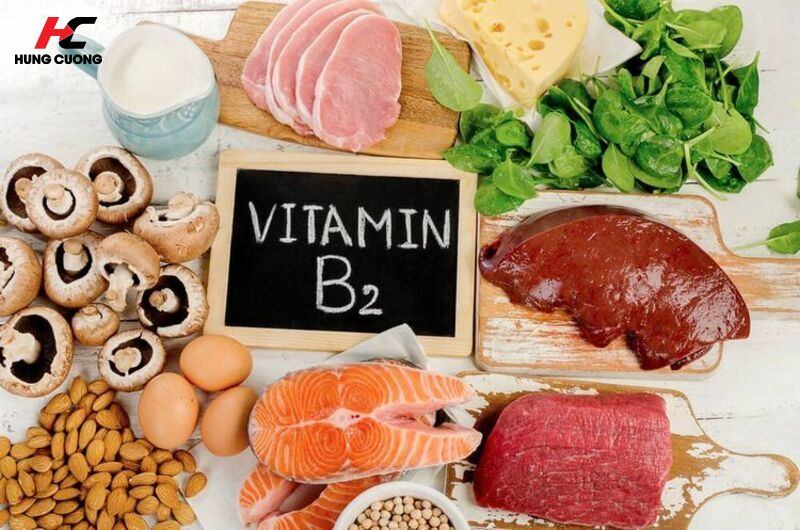 Vitamin B2 (Riboflavin) - Chất chống oxy hóa tế bào