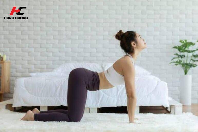 Tư thế con mèo (Cat Pose)