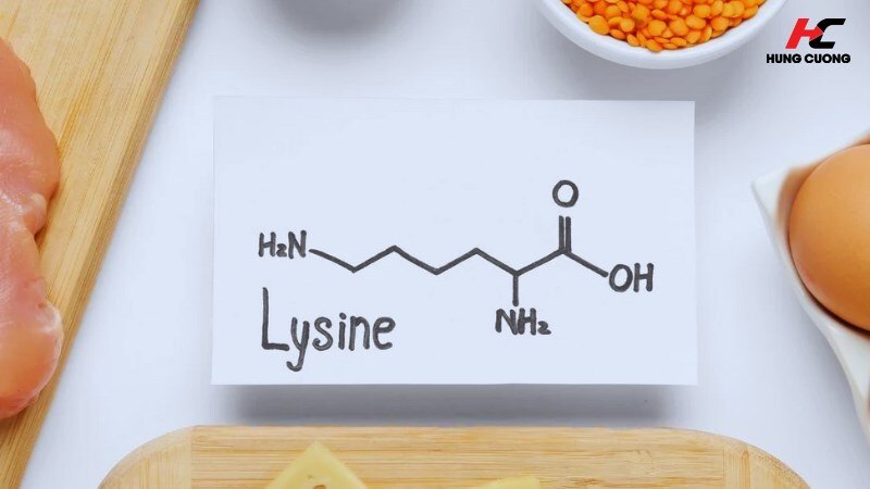 Lysine