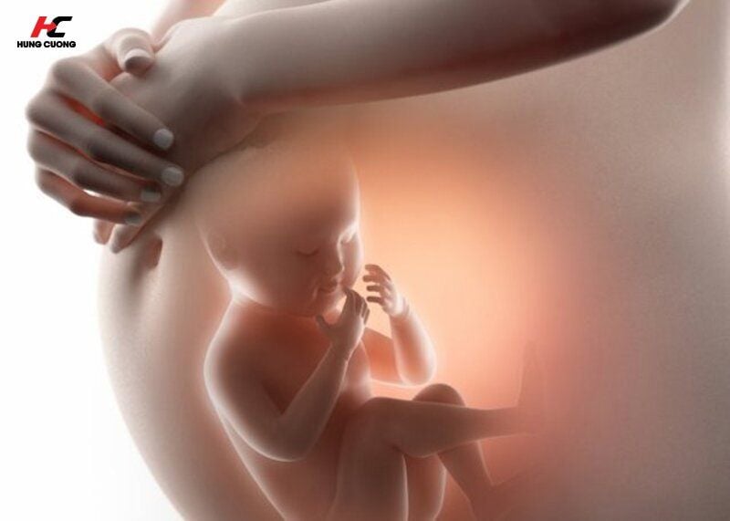 Ngăn ngừa dị tật ống thần kinh bẩm sinh ở thai nhi