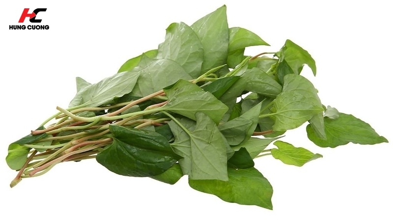 Rau diếp thúc đẩy phát triển xương khoẻ mạnh và vững chắc