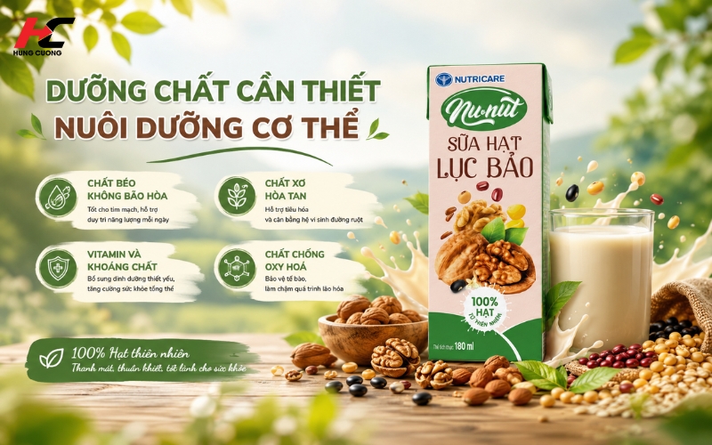 Sữa hạt dinh dưỡng chứa các dưỡng chất quan trọng