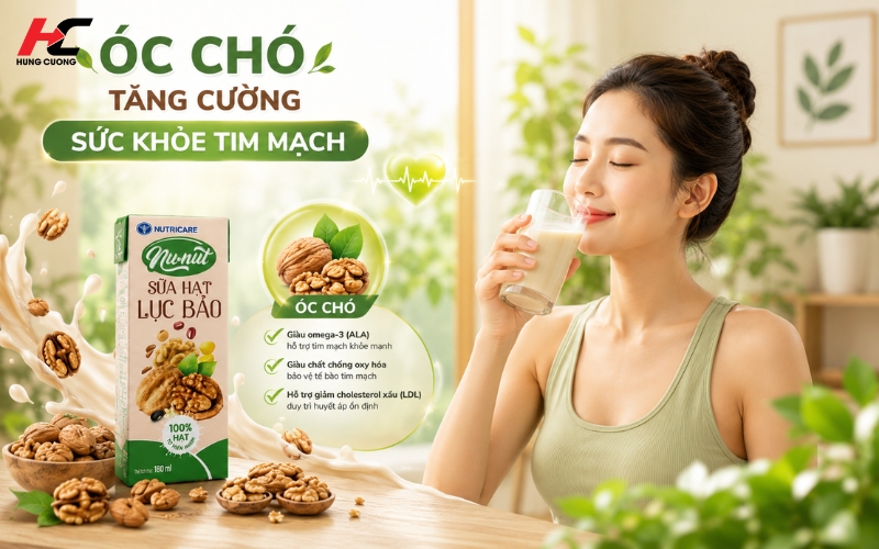 Óc cho là thành phần thường có trong sữa hạt dinh dưỡng