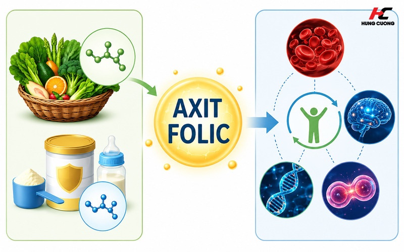 Cần nhận diện Axit Folic từ nguồn ngoại sinh