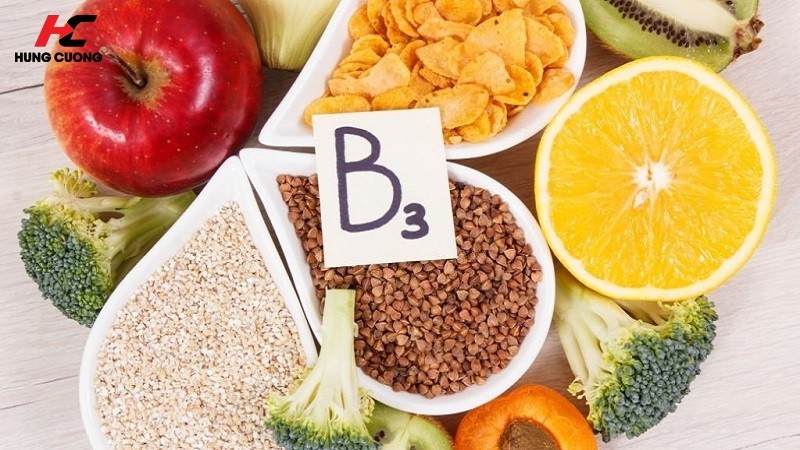 Vitamin B3 (Niacin) - Hệ thống kiểm soát enzyme