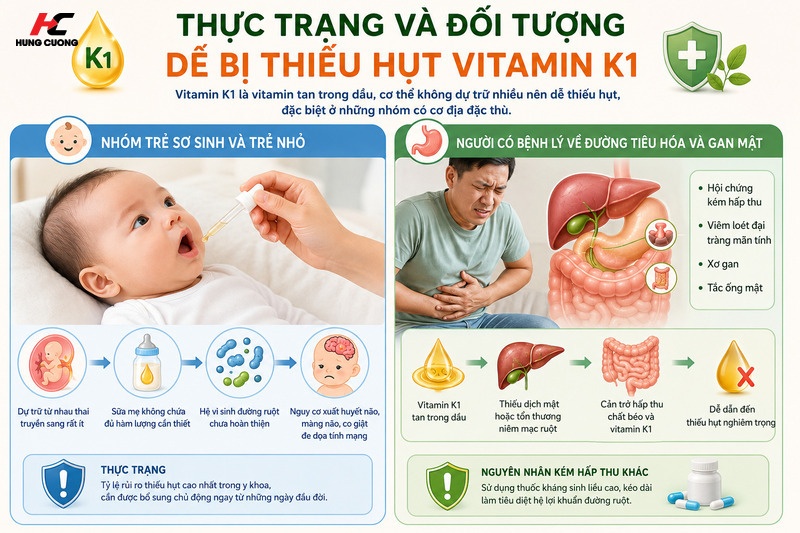Thực trạng và đối tượng dễ bị thiếu hụt Vitamin K1