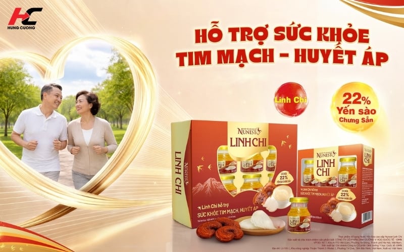 Yến sào Nunest giúp bổ sung dinh dưỡng cho cơ thể
