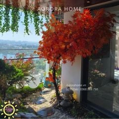 Aurora Home kiến tạo Penthouse Bình Dương từ hoa, cây xanh và khu vườn nên thơ