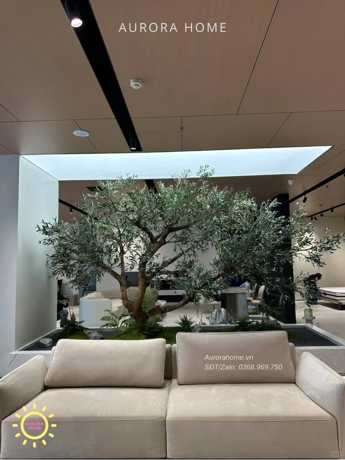 Dịch vụ thiết kế cây ô liu giả cao cấp, cây ô liu lớn, cây ô liu dáng bonsai theo yêu cầu