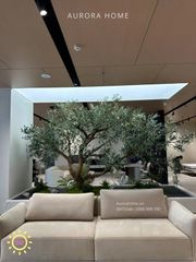 Dịch vụ thiết kế cây ô liu giả cao cấp, cây ô liu lớn, cây ô liu dáng bonsai theo yêu cầu