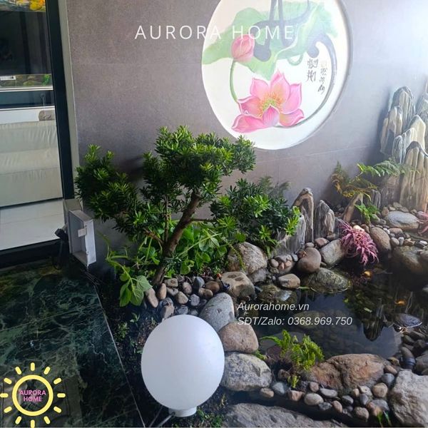 tieu-canh-cay-tung-bonsai